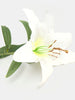 Sinsay White Decorative Artificial Plant | Sinsay In Lebanon
