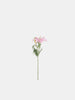 Sinsay Pink Ornamental Plant | Sinsay In Lebanon