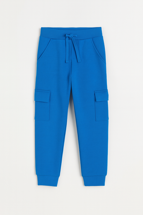 Blue cargo jogger pants on a white background