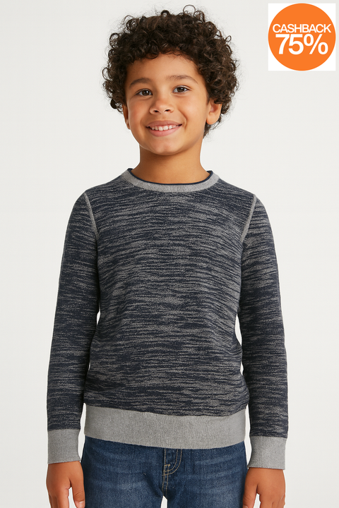 Dylan Gray Boy's Multicolor Sweatshirt ABFK1450