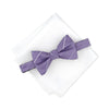 Alfani Men's Purple Regular fit Bow Tie | Alfani In Lebanon