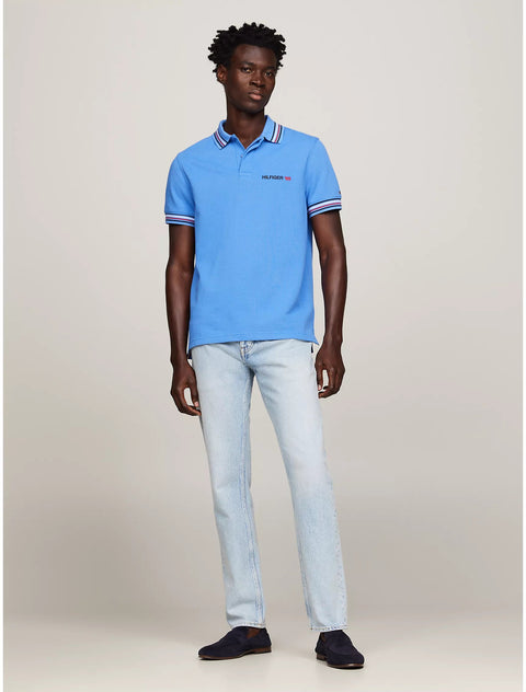 Tommy Hilfiger Men's Blue  Regular Fit Stripe Tipped Polo T-Shirt | Tommy Hilfiger  in Lebanon