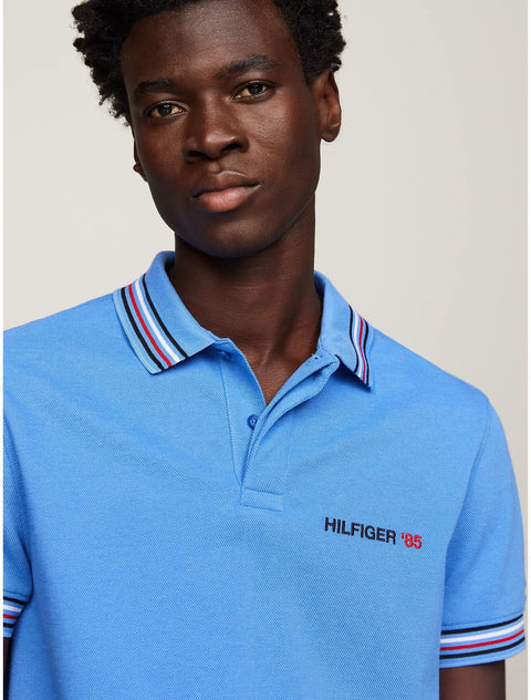 Tommy Hilfiger Men's Blue  Regular Fit Stripe Tipped Polo T-Shirt | Tommy Hilfiger  in Lebanon