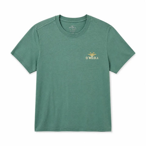 O'Neill  Women's Aqua Print Graphic T-Shirt | O'Neill  in Lebanon