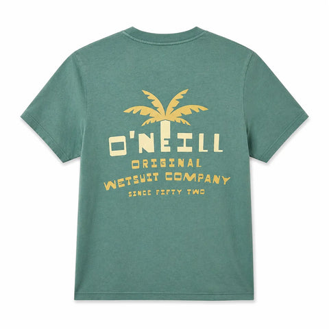 O'Neill  Women's Aqua Print Graphic T-Shirt | O'Neill  in Lebanon