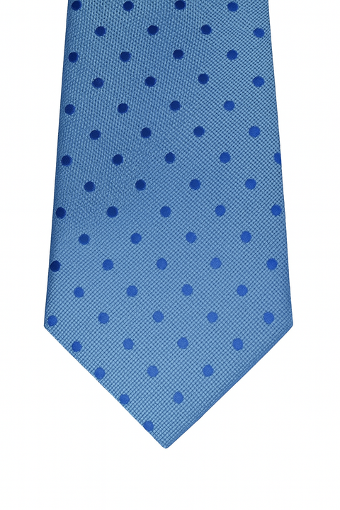 Calvin Klein Men's Blue Slim Botanical Sateen Tie ABL375