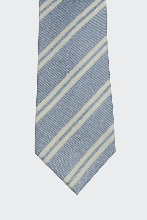 Ted Baker Men's Blue Tie | Ted Baker In Lebanon