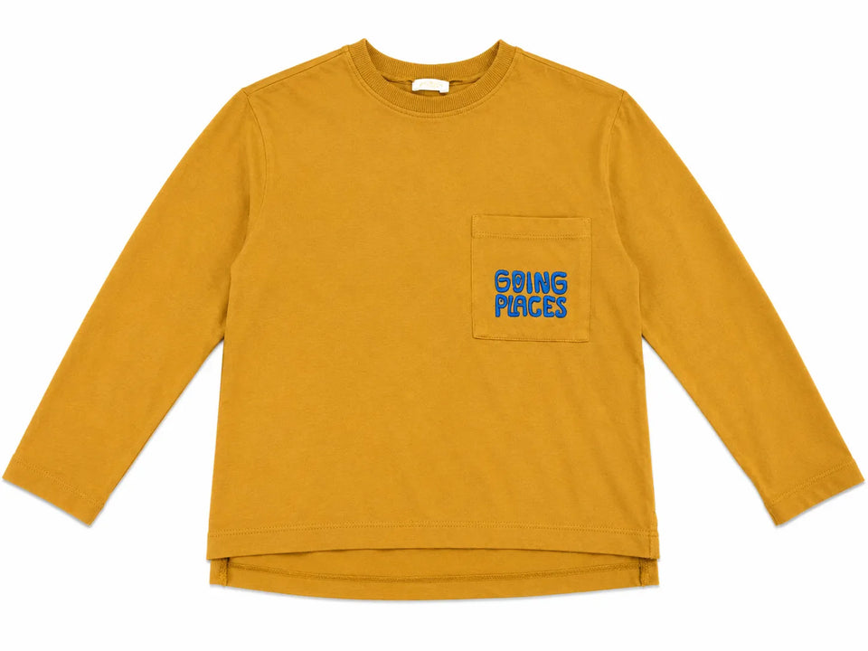 Zara Boy's Light Brown "Growing Places " PrintedLong Sleeve Blouse | Zara in Lebanon