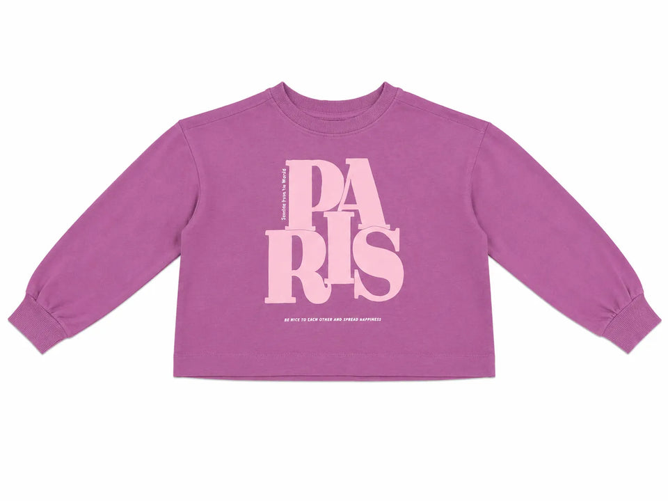 Zara Girl's Purple" Paris " PrintedSweatshirt | Zara in Lebanon