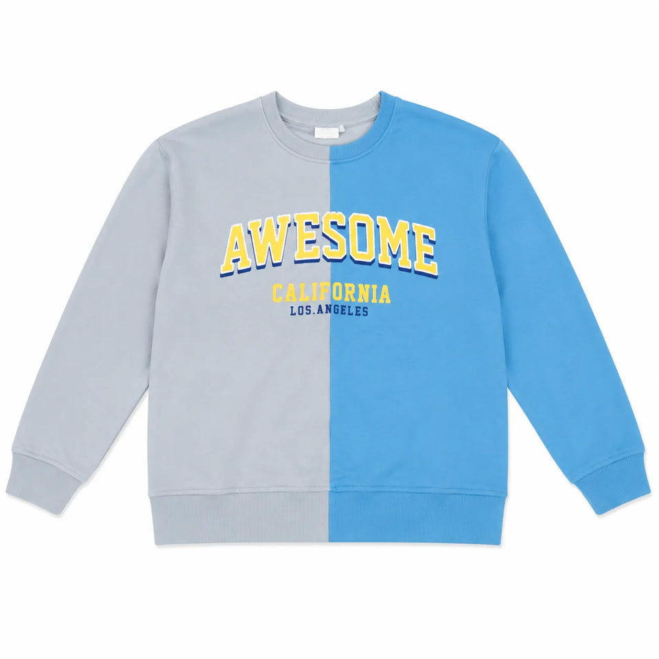 Zara Boy's Light Blue "Awesome " Printed Sweatshirt| Zara in Lebanon