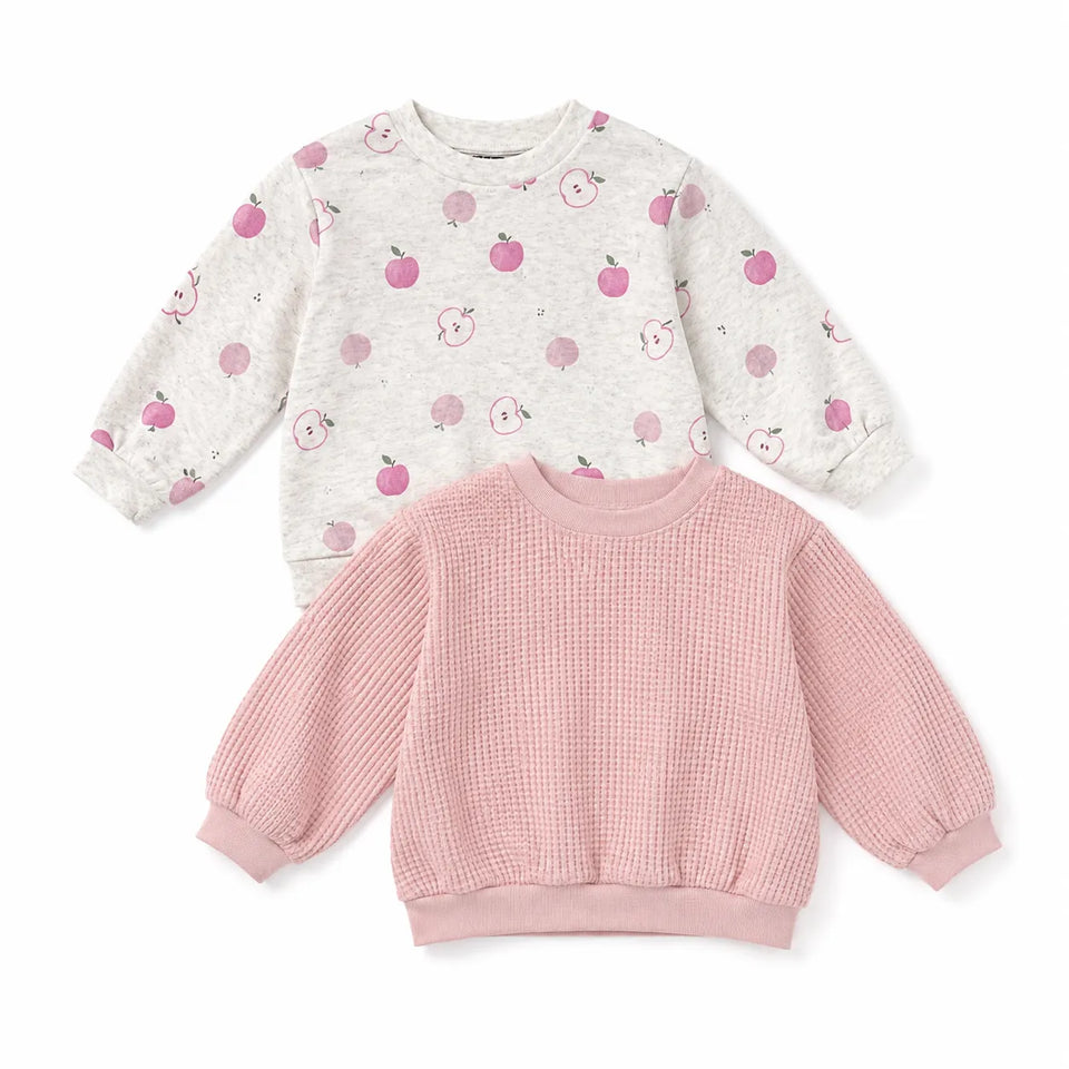 Carter's Baby Girl's Light Pink/Grey With Apple PrintedCrewneck 2pcSweater | Carter's in Lebanon