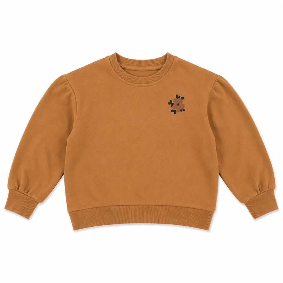 Zara Baby Girl's Camal Flowers PrintedSweatshirt | Zara in Lebanon