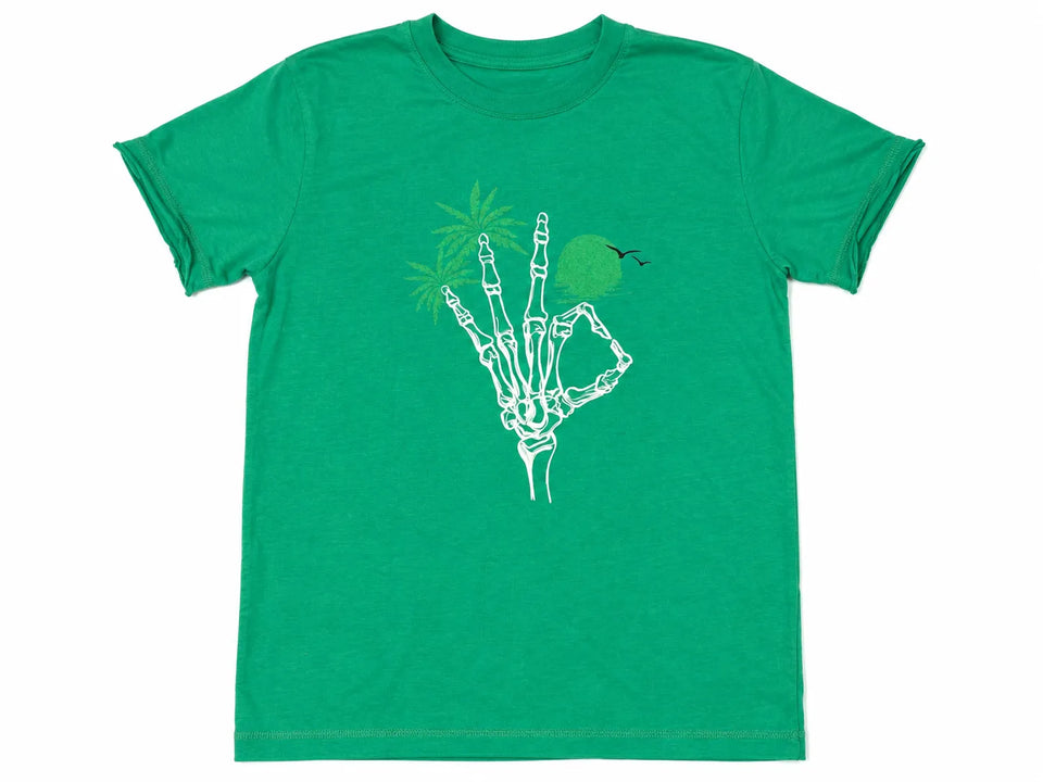 Zara Boy's Light Green Hand Graphic PrintT-Shirt| Zara in Lebanon
