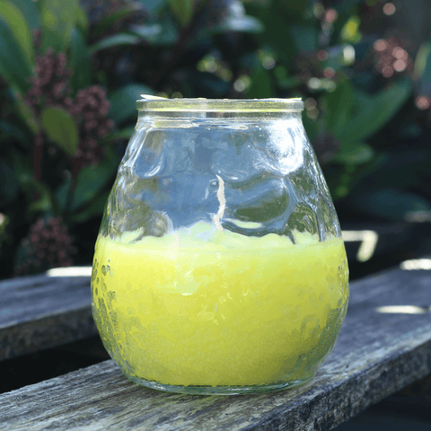 Citronella Green Glass Cup Candle For Outdoor Garden | Citronella In Lebanon