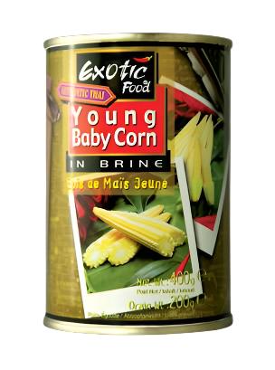 Exotic Food Young Baby Corn In Brine 400g| Exotic In Lebanon