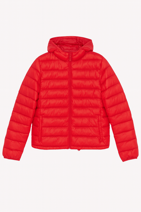 Scout Men's Red Jacket |Scout in Lebanon