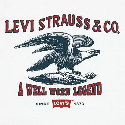 Levi's Boys' Short Sleeve A Well Worn Legend Graphic T-Shirt  | Levi's in Lebanon