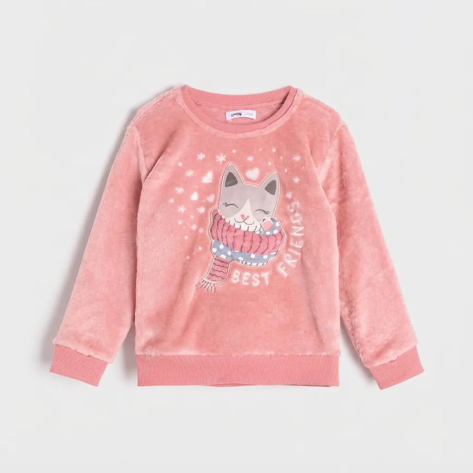 A pink long-sleeve fleece sweatshirt for kids, featuring a cartoon cat wearing a striped scarf and the words 'BEST FRIENDS' printed on the front, set against a light gray background.