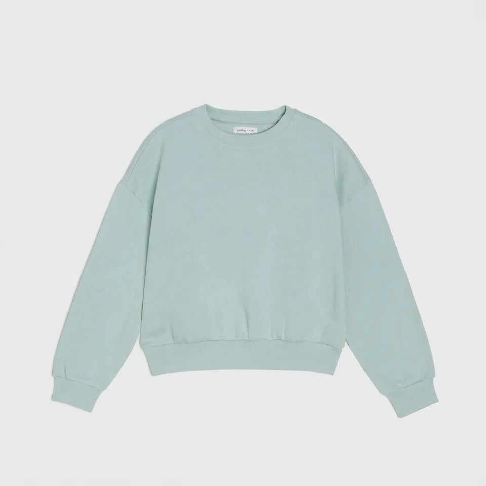 A light mint green crewneck sweatshirt with long sleeves and ribbed cuffs and hem, displayed flat against a light gray background.