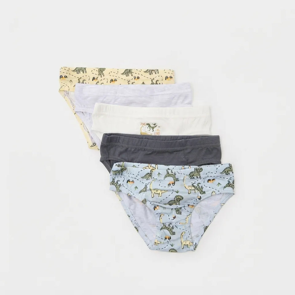Sinsay Boy's Multicolor Dino Motif 5-Pack Briefs
