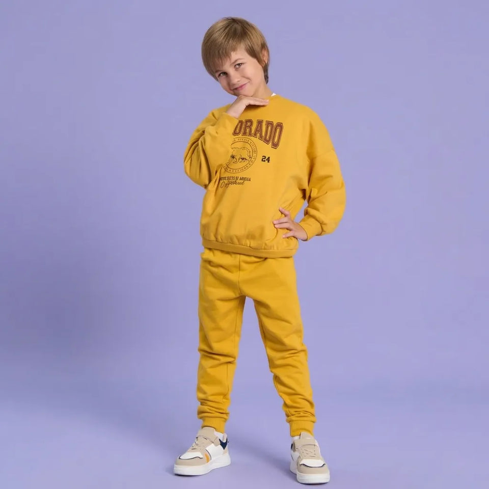 Sinsay Boy's Mustard Graphic Print And A Round Neckline Sweatshirt