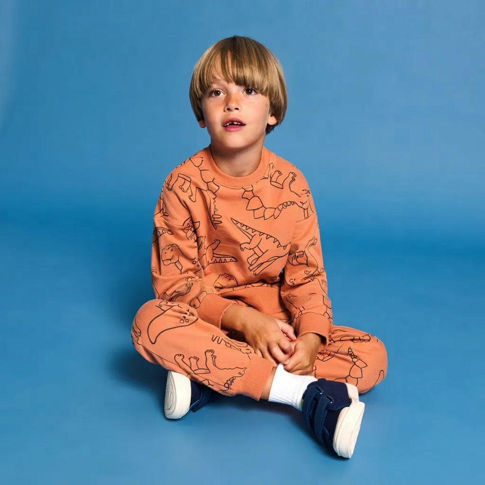 Sinsay Boy's Orange Crew Neck Print Dinosaurs Blouse