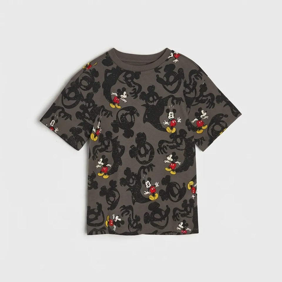 Sinsay Boy's Gray Printed Crew Neck T-Shirt