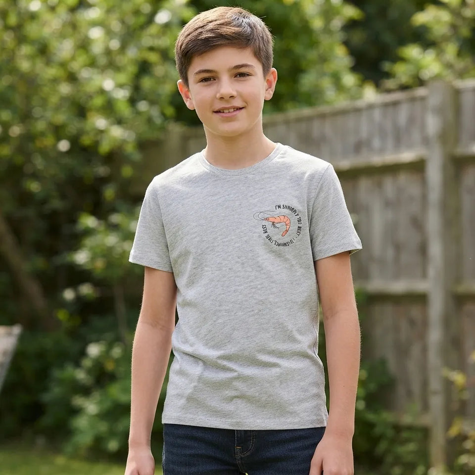 Sinsay Boys Light Grey Chest Printed T-Shirt