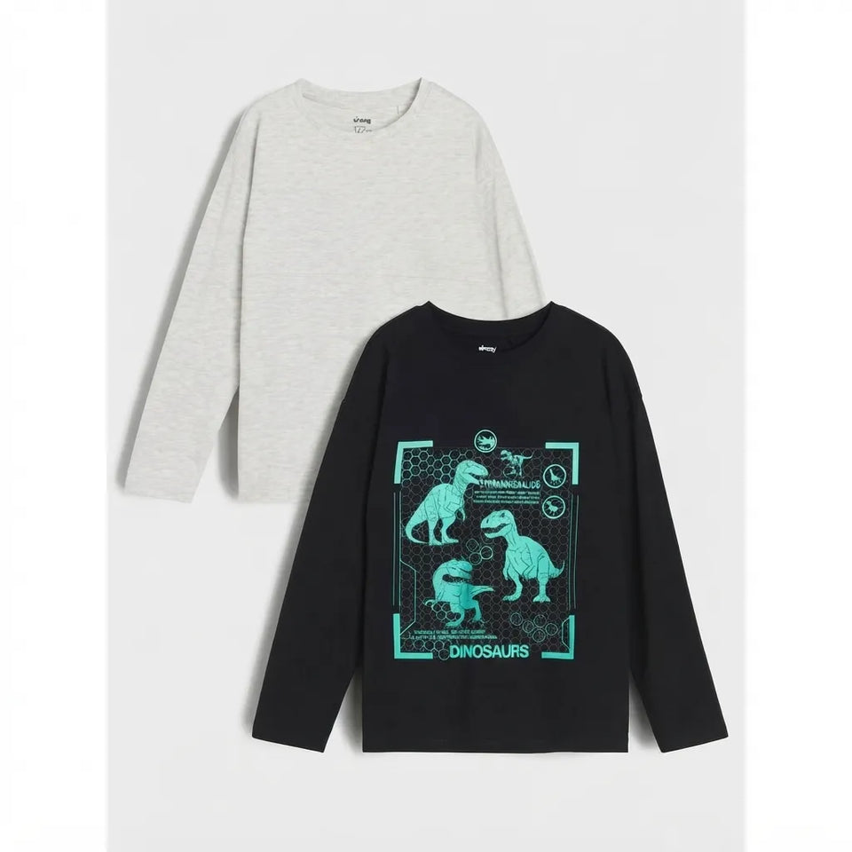 Two long-sleeve children's shirts shown on a light gray background: one heather light gray shirt and one black shirt with a bright teal dinosaur graphic print on the front.