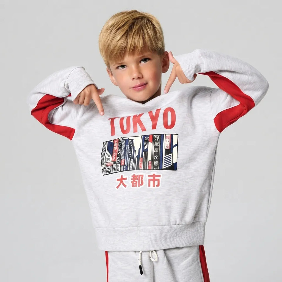 Sinsay Boys Light Grey TOKYO Printed Sweatshirt