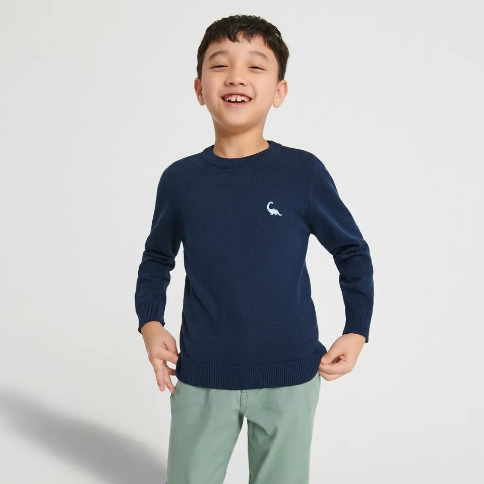 Sinsay Boy's Mini Dinosaur Chest Printed Knitted Blouse
