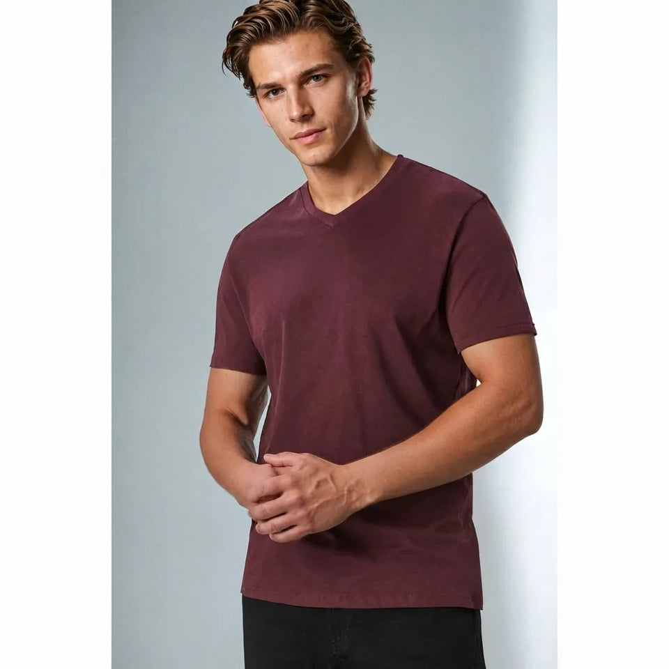 Sinsay Men's Plum V Neck Short Sleeve T-Shirt