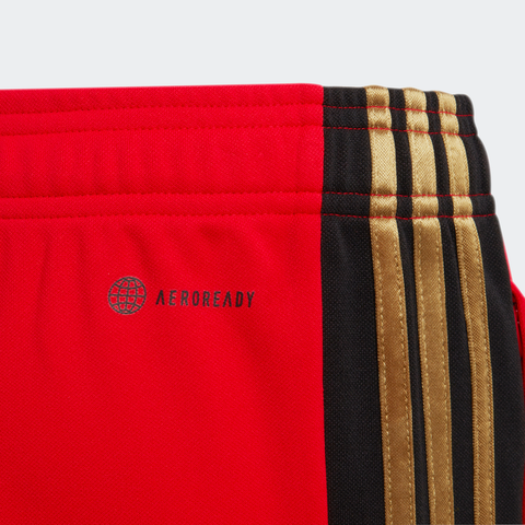 Adidas Boy's Red Sweatpants TPGWH FE950(SHR)