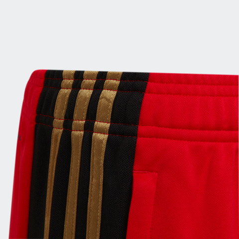 Adidas Boy's Red Sweatpants TPGWH FE950(SHR)