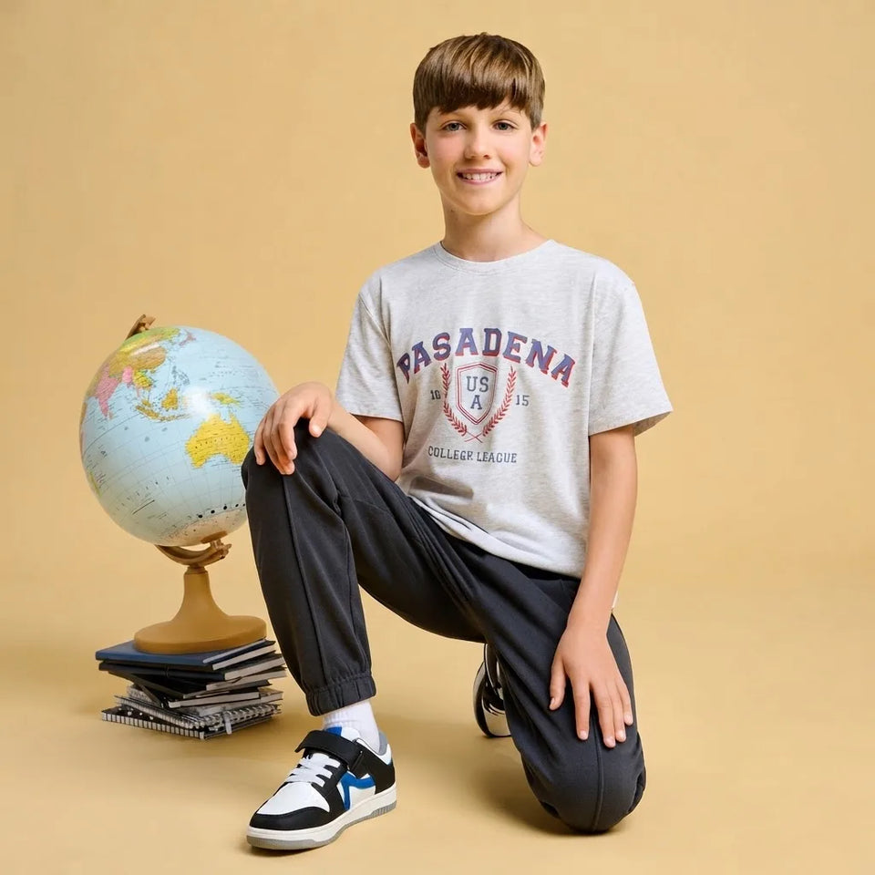 Sinsay Boy's Light Grey Printed T-Shirt