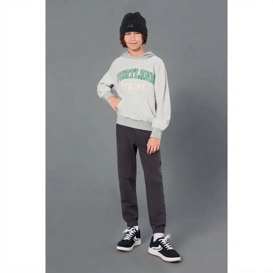 Sinsay Boy's Grey Printed Sports Hoodie