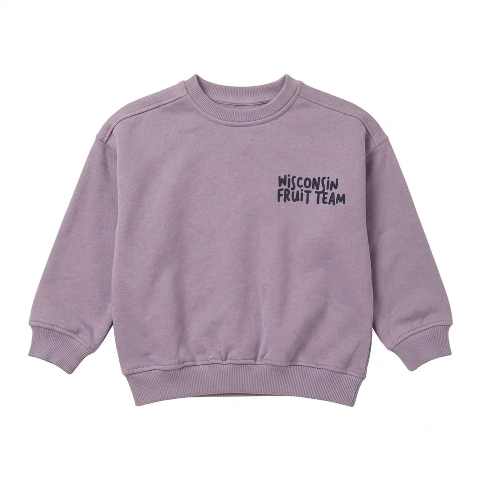Zara Baby Girl's Lilac Chest Printed Sweatshirts | Zara In Lebanon