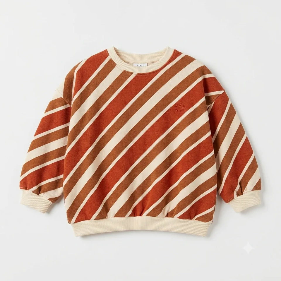 Zara Girl's Multicolor Diagonal Striped Pullover Sweatshirt | Zara In Lebanon