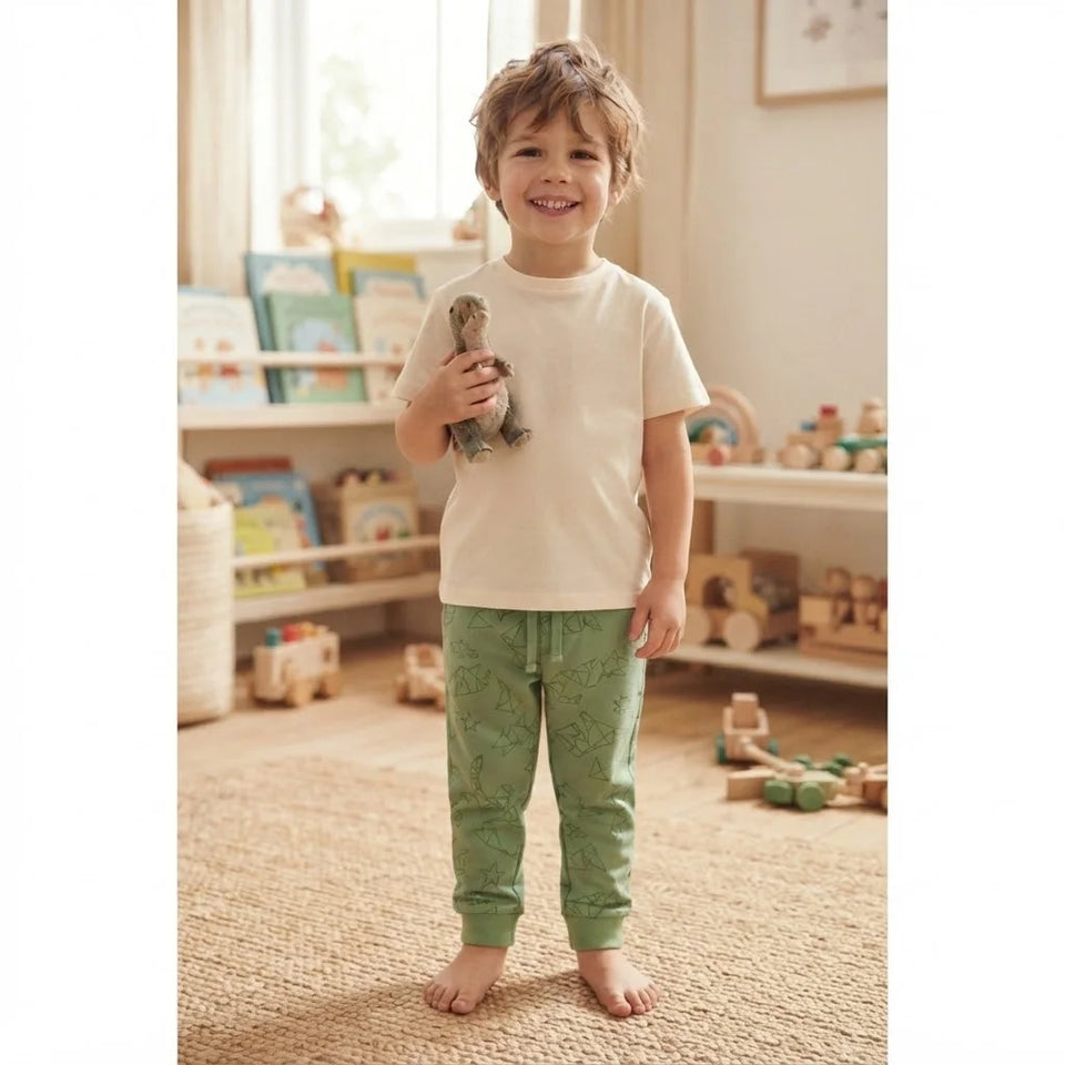 Sinsay Boy's Green Dinosaur Print Sweatpants