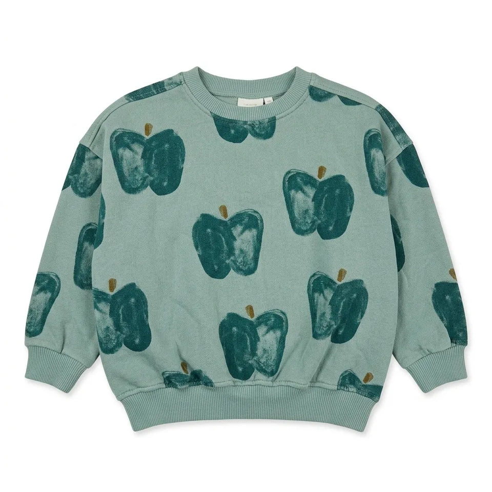 Zara Boy's Turquoise All-Over Apple Graphic Print Sweatshirt | Zara In Lebanon