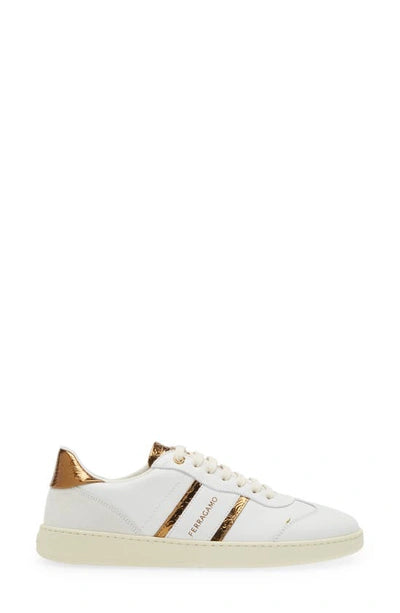 FERRAGAMO Achille 2 Low Top Sneaker In White & Gold