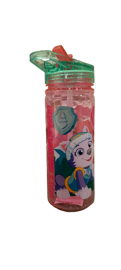 Ecozen Paw Patrol Girl Print Bottle 580ml AD-316| Ecozen In Lebanon