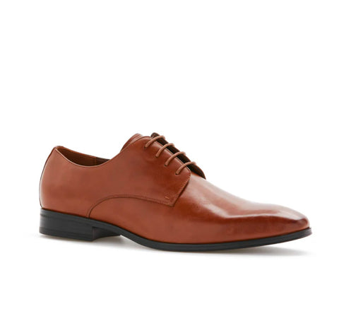 Brand New Perry Ellis Portfolio Men Randal Brown Dress Shoes