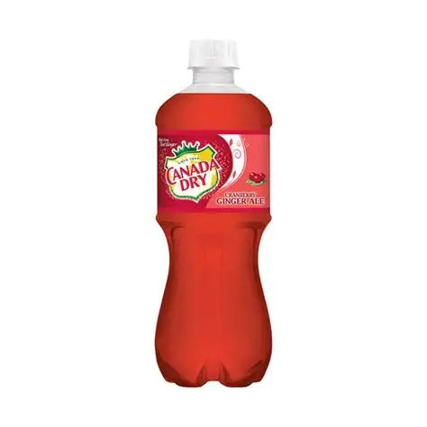 Canada Dry Bottle 591mL | Canada Dry In Lebanon
