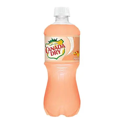 Canada Dry Bottle 591mL | Canada Dry In Lebanon