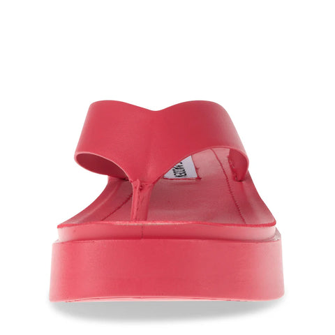 Steve Madden Women's Hot Pink Carlene Slipper |Steve Madden In Lebanon