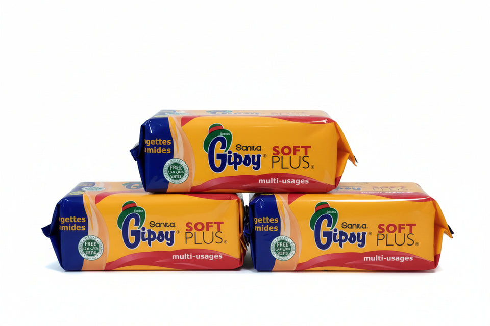 Pack of Sanita Gipsy Multi-Purpose Wet Wipes, 100 pieces, with visible branding and product information.