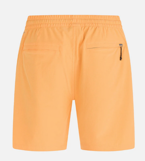 Hurley Men's Orange Short ABF5410