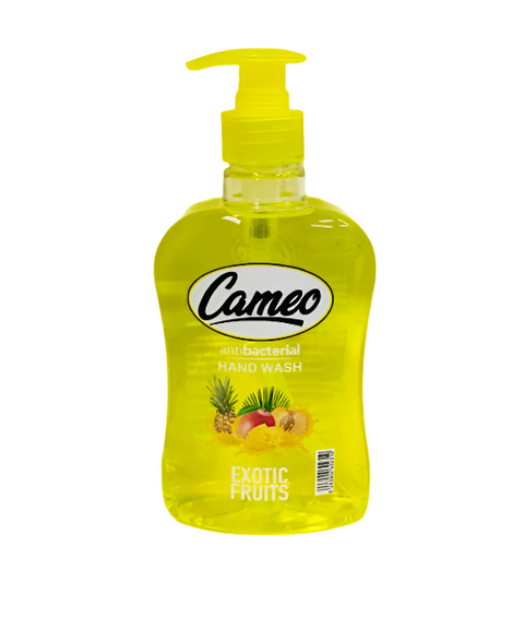 Cameo Antibacterial Hand Wash 500ml | Cameo In Lebanon