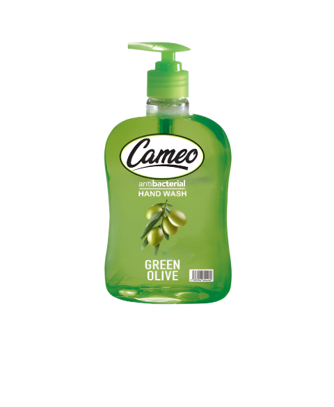 Cameo Antibacterial Hand Wash 500ml | Cameo In Lebanon